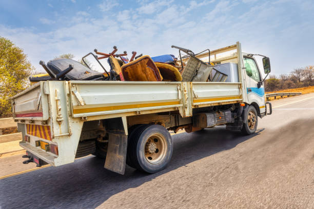 Best Office Junk Removal  in Cannon Af, NM